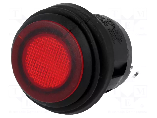 R13112B8W02BRN2